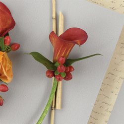 Mini Calla Boutt 