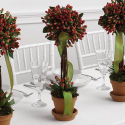 Topiary Trio 