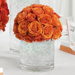 Orange Roses Flower Power, Florist Davenport FL
