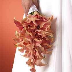 Cascading Mini Calla 