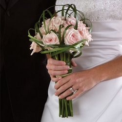 Contemporary Roses 