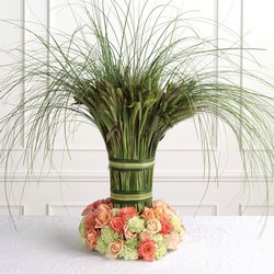 Rosy Grass 