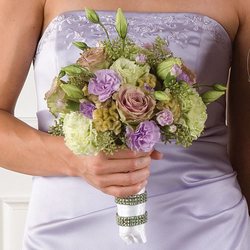 Pastel Green Hues 