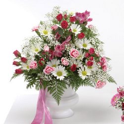 Daisy Urn Flower Power, Florist Davenport FL