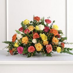 Rainbow of Rose Reception 