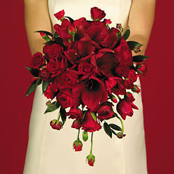 Red Cascade 