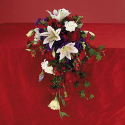 Lily and Rose Cascade 