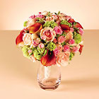 Cala and Rose Beauty