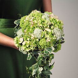 Emerald Cascade 