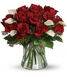 Be Still My Heart - Dozen Red Roses Flower Power, Florist Davenport FL