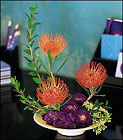 Pin Cushion Protea Bowl