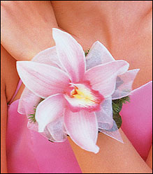 Pink Orchid Wristlet Flower Power, Florist Davenport FL