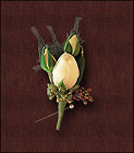 White Spray Rose Boutonniere