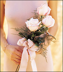 Simple Pink Roses to Carry 