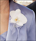 White Phalaenopsis Corsage