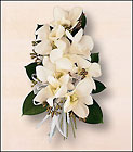 White Dendrobium Corsage
