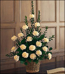 White Simplicity Basket