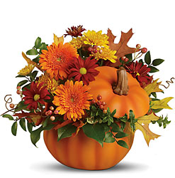 Fall Somethin' Pumpkin