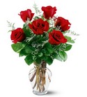 /images/telwhite03/6REDROSElg.jpg 6 Roses Flower Power, Florist Davenport FL
