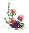 Pin Cushion Protea Bowl 