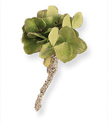 Green Hydrangea Boutonniere 
