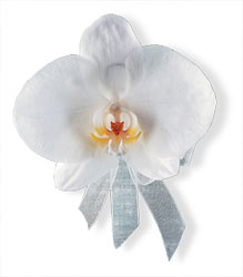White Phalaenopsis Corsage 