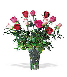 A Dozen Multi-Colored Roses 