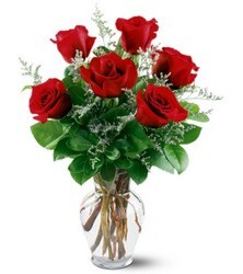 6 Roses - You Choose Color Flower Power, Florist Davenport FL