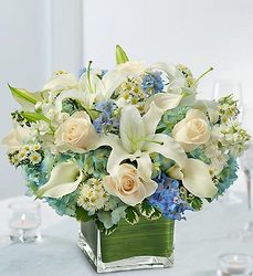 Blue and White Arrangement Davenport Florist - Same Day Flower Delivery - Flower Power 