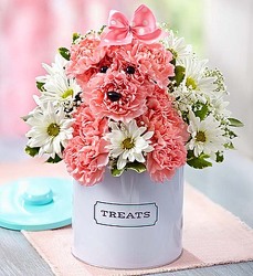 Pink Pup Davenport Florist - Same Day Flower Delivery - Flower Power 