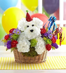 Another Year Rover Davenport Florist - Same Day Flower Delivery - Flower Power 