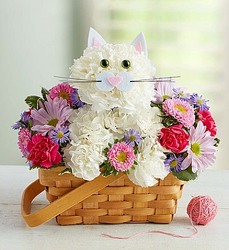 Fabulous Feline Davenport Florist - Same Day Flower Delivery - Flower Power 