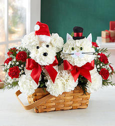 Playful Paws for the Holidays Davenport Florist - Same Day Flower Delivery - Flower Power 