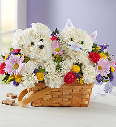 Paw-Some Pals Davenport Florist - Same Day Flower Delivery - Flower Power 