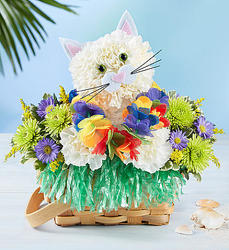 Luau Kitty Flower Power, Florist Davenport FL