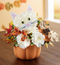 Fabulous Feline for Fall Flower Power, Florist Davenport FL