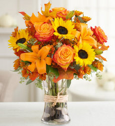 Fall Fields of Europe 2009 Davenport Florist - Same Day Flower Delivery - Flower Power 