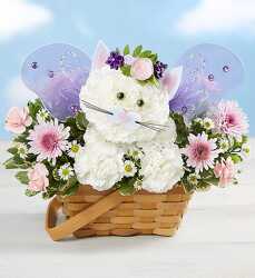Magical Fairy Cat Davenport Florist - Same Day Flower Delivery - Flower Power 