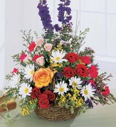 Garden Basket Arrangement Davenport Florist - Same Day Flower Delivery - Flower Power 