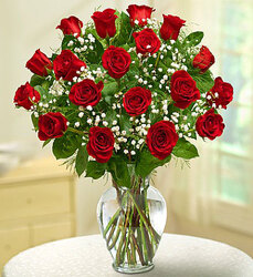 18 Premium Roses Davenport Florist - Same Day Flower Delivery - Flower Power 