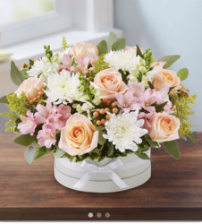 Pastel Hatbox
