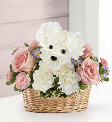 Precious Pup Davenport Florist - Same Day Flower Delivery - Flower Power 