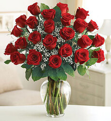 24 Premium Roses Davenport Florist - Same Day Flower Delivery - Flower Power 