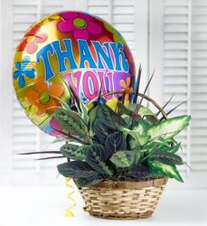 Thank You Dish Garden Davenport Florist - Same Day Flower Delivery - Flower Power 