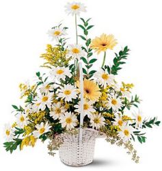Drop of Sunshine Basket Flower Power, Florist Davenport FL