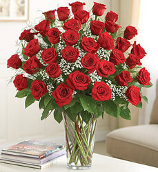 36 Premium Roses Davenport Florist - Same Day Flower Delivery - Flower Power 