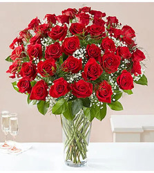 60 Premium Roses Davenport Florist - Same Day Flower Delivery - Flower Power 