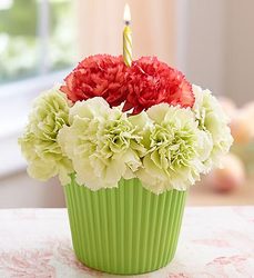 Bloomin Cupcake Davenport Florist - Same Day Flower Delivery - Flower Power 
