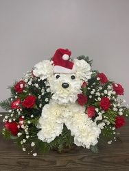Santa Paws
