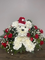 Santa Paws Flower Power, Florist Davenport FL